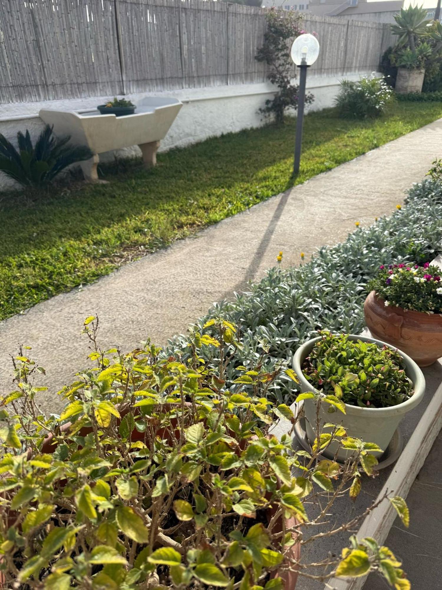 A Casa Di Coso B&B Marsala Exteriér fotografie